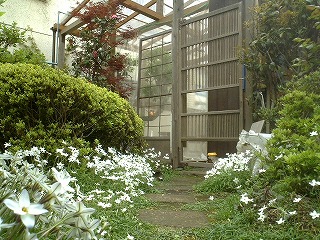 はぐら茶屋周囲30m以内の写真です。リロードで画像が切り替わります。