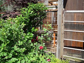 はぐら茶屋周囲30m以内の写真です。リロードで画像が切り替わります。